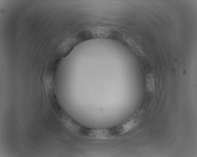 X0000051250713200506241546