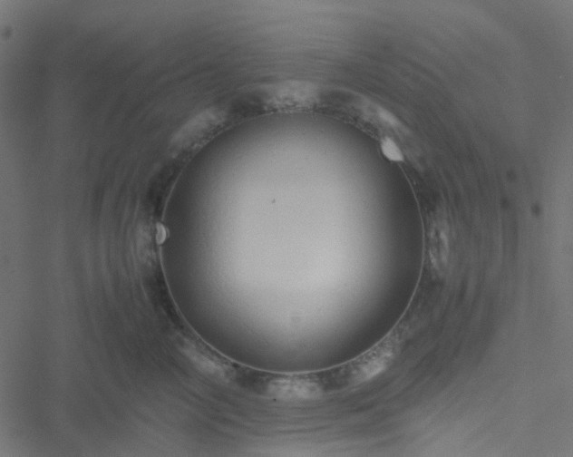 X0000051250714200506241546