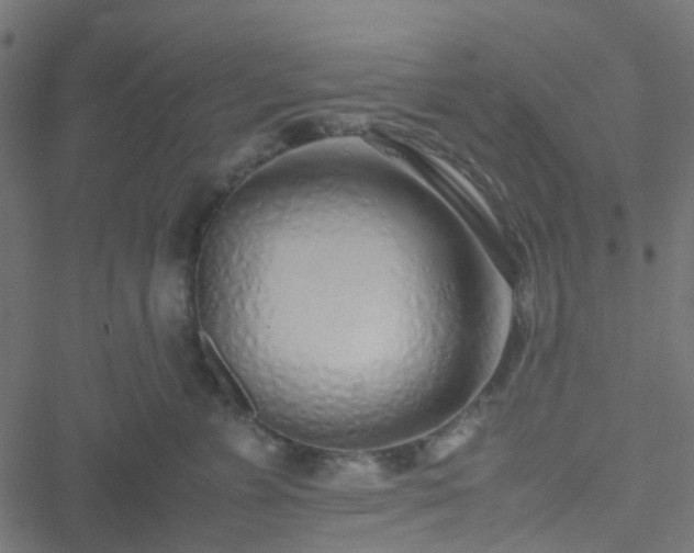 X0000051250715200506241546