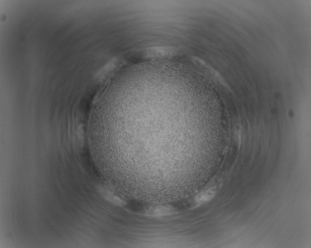 X0000051250716200506241546