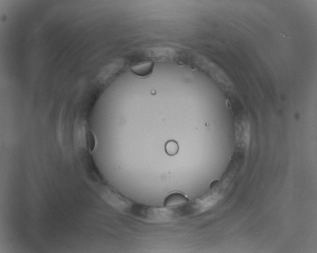 X0000051250717200506241546