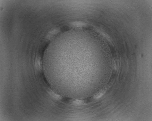 X0000051250718200506241546