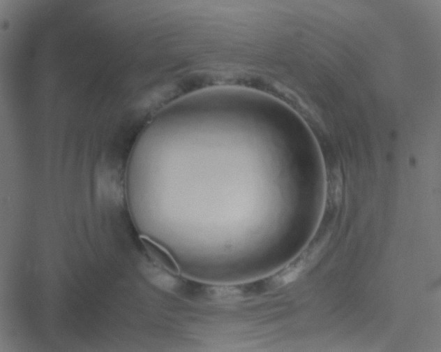 X0000051250719200506241546