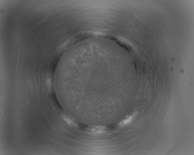 X0000051250720200506241546