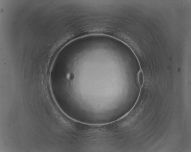 X0000051250721200506241546