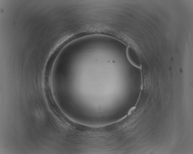 X0000051250722200506241546