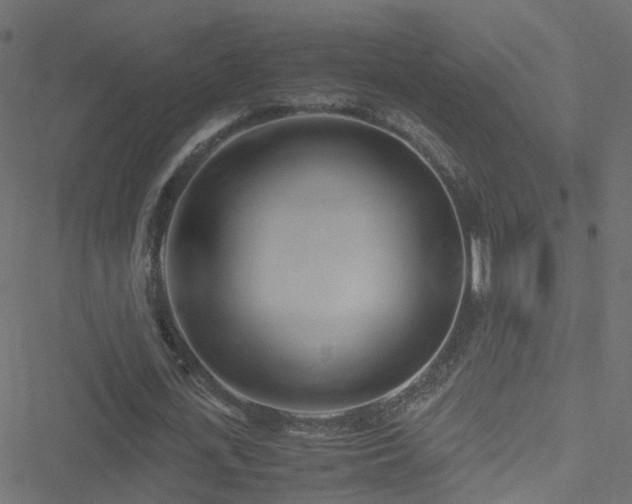 X0000051250723200506241546