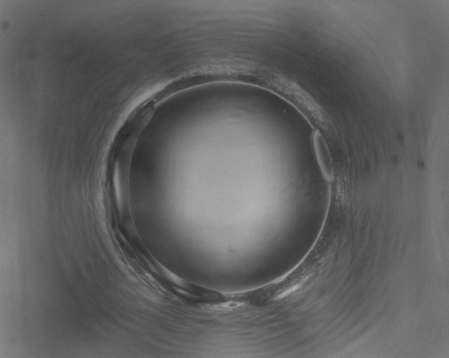 X0000051250724200506241546