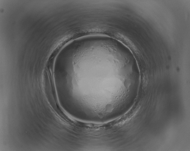 X0000051250725200506241546