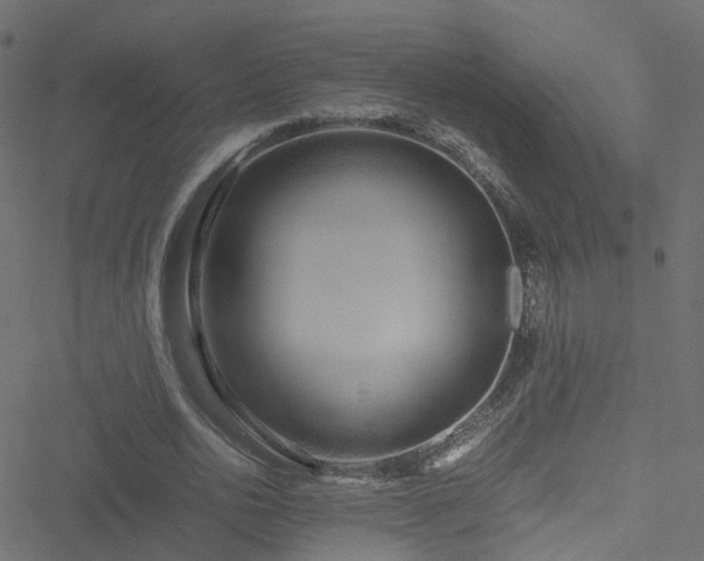 X0000051250726200506241546