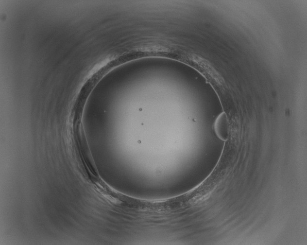 X0000051250727200506241546