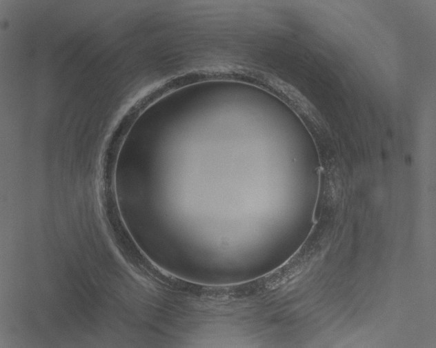 X0000051250728200506241546