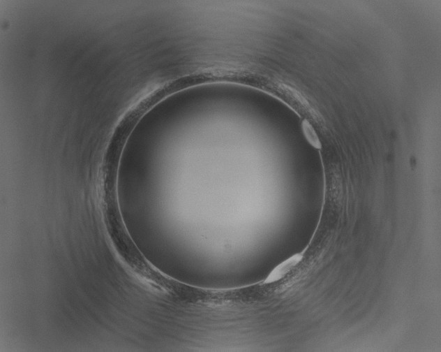 X0000051250730200506241546