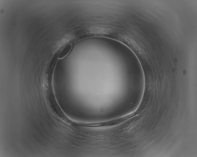 X0000051250731200506241546