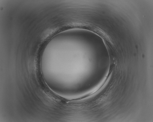 X0000051250732200506241546