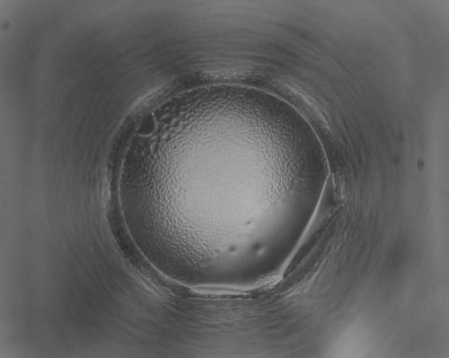 X0000051250733200506241546