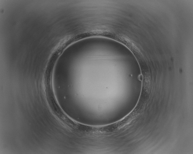 X0000051250734200506241546