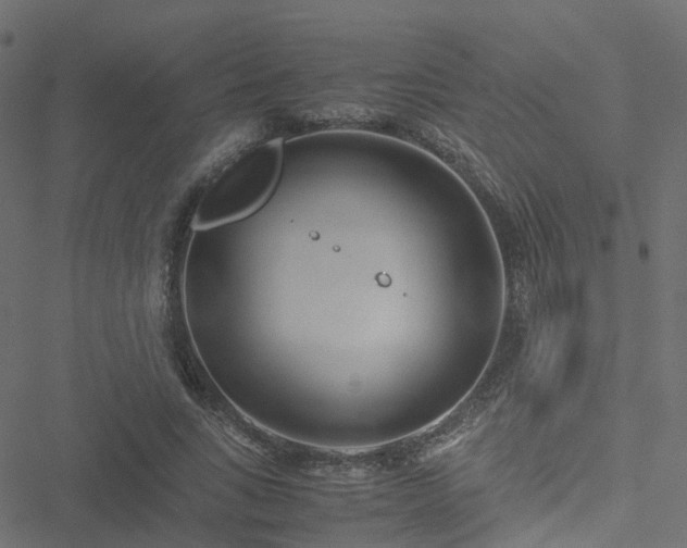 X0000051250735200506241546