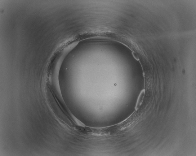 X0000051250736200506241546