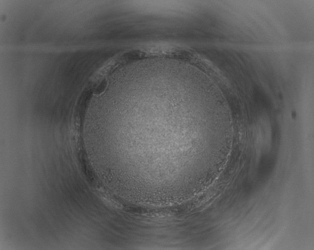 X0000051250737200506241546