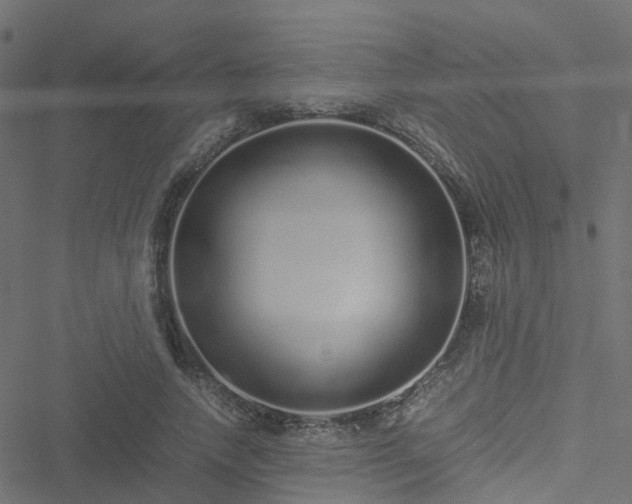 X0000051250738200506241546