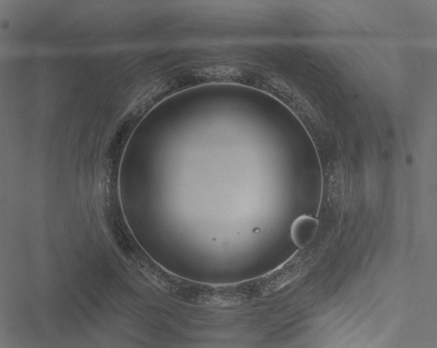 X0000051250739200506241546