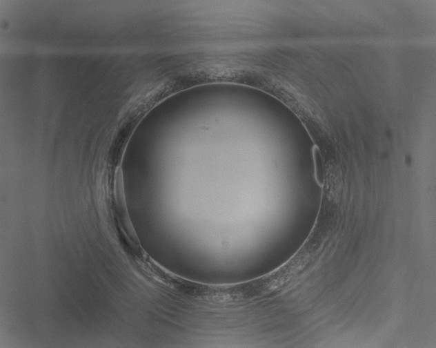 X0000051250740200506241546