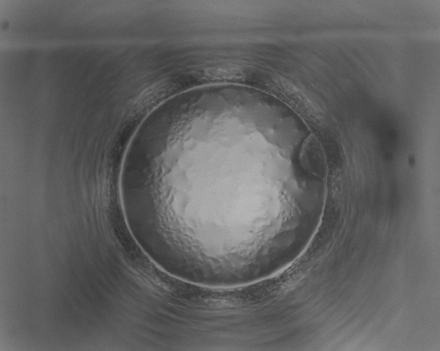 X0000051250741200506241546