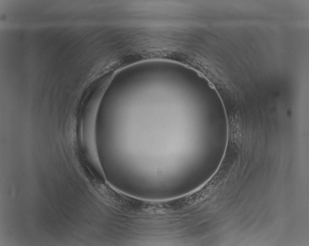 X0000051250742200506241546