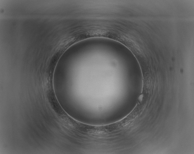 X0000051250743200506241546