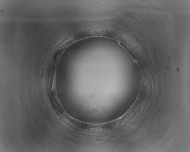 X0000051250744200506241546