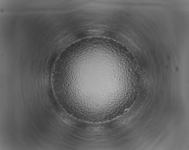 X0000051250745200506241546