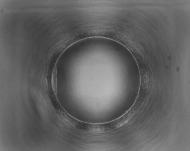 X0000051250746200506241546