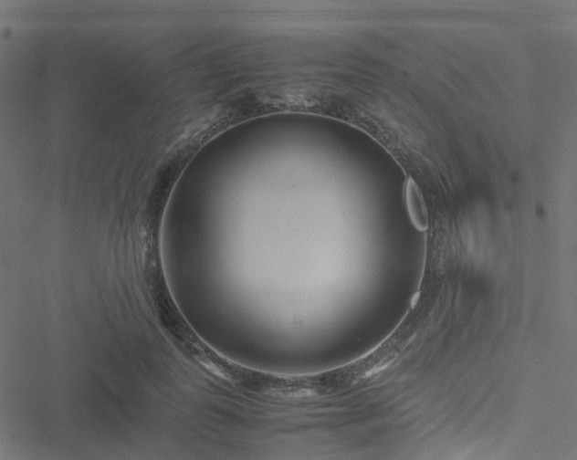 X0000051250747200506241546