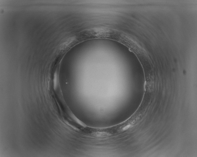 X0000051250748200506241546