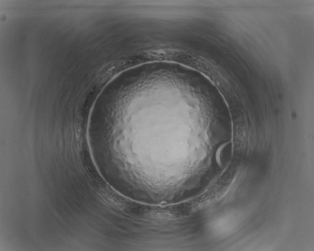 X0000051250749200506241546