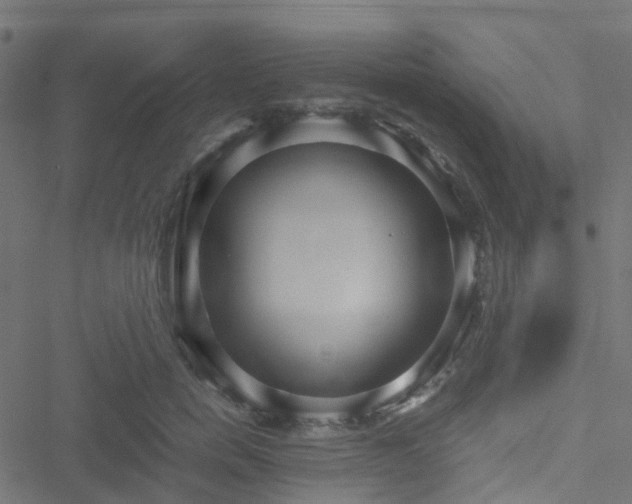 X0000051250750200506241546