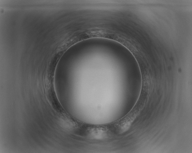 X0000051250751200506241546