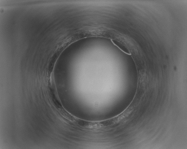 X0000051250752200506241546