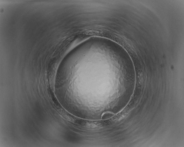 X0000051250753200506241546