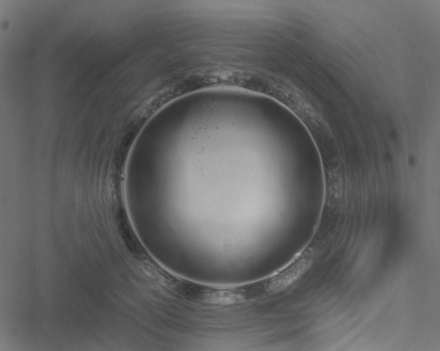 X0000051250754200506241546