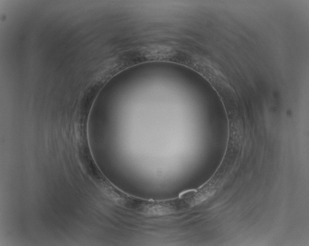 X0000051250755200506241546