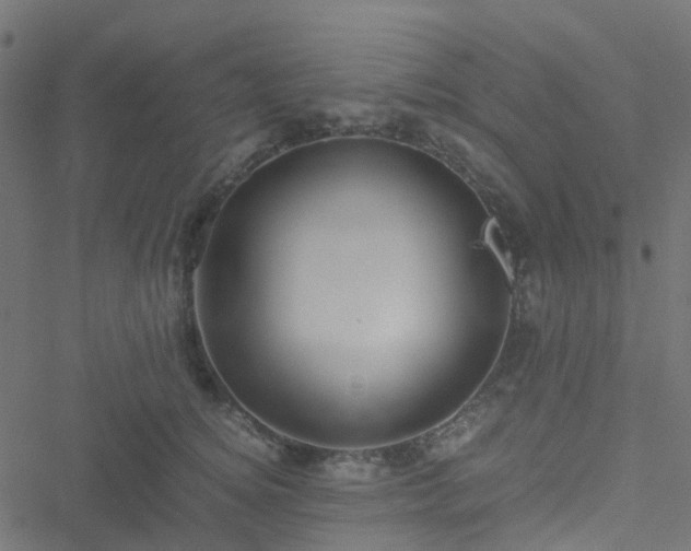 X0000051250756200506241546