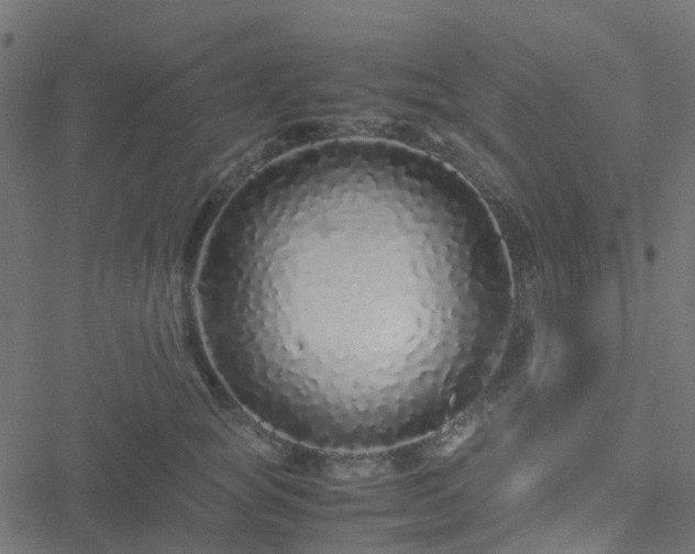 X0000051250757200506241546