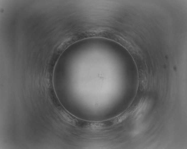 X0000051250758200506241546