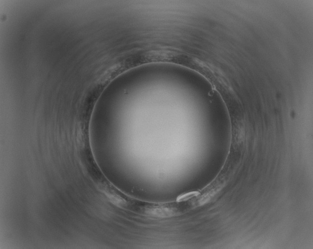 X0000051250759200506241546