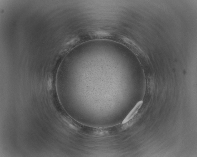 X0000051250760200506241546