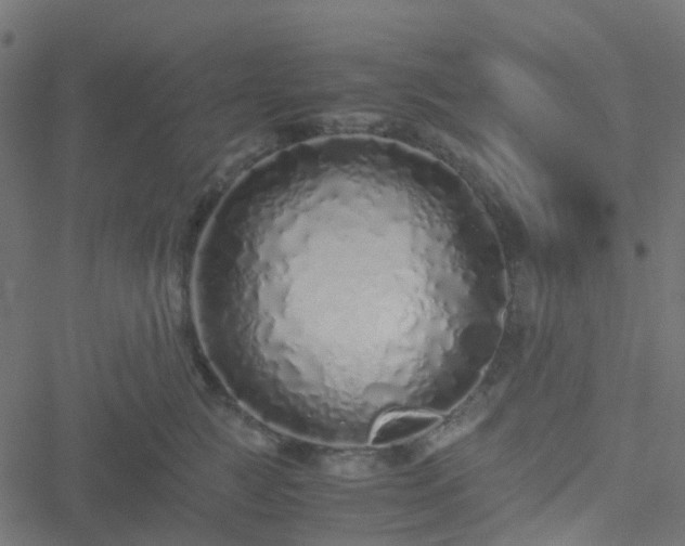 X0000051250761200506241546