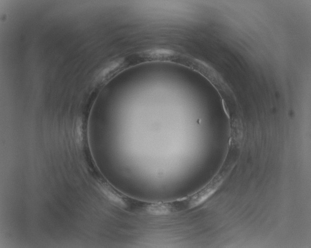 X0000051250762200506241546