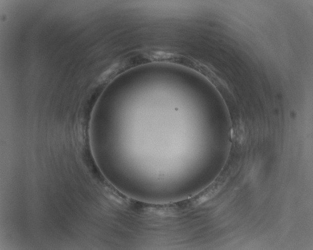 X0000051250763200506241546